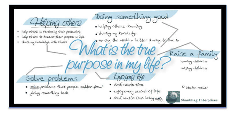 What is the true purpose in my life? helping others, doing something good, solve problems, enjoying life, raise a family