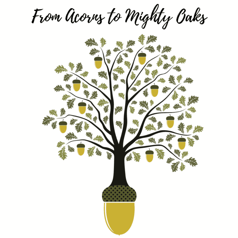 From Acorns to Mighty Oaks
